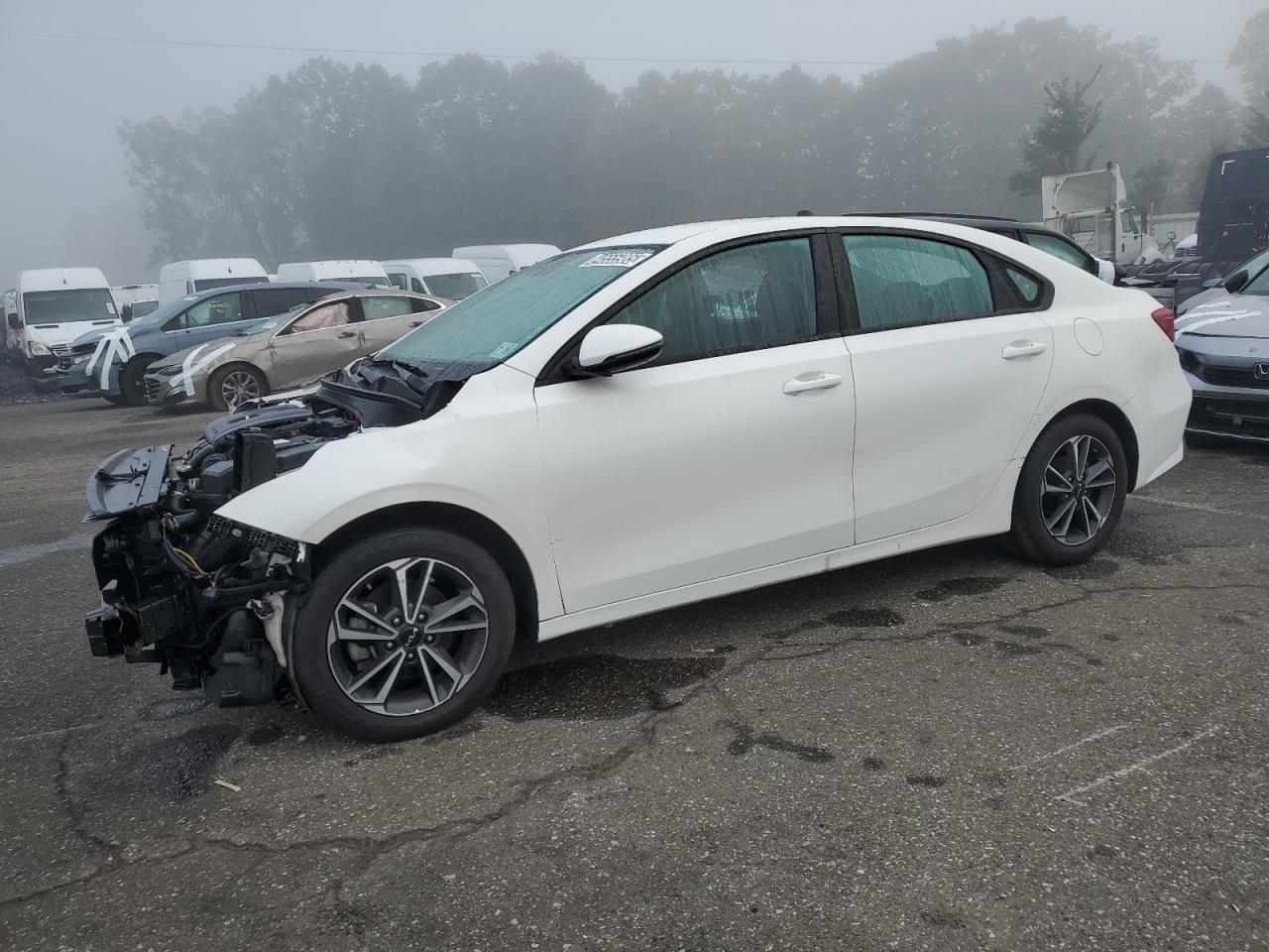 2023 Kia Forte Lx VIN: 3KPF24AD4PE646267 Lot: 84555985