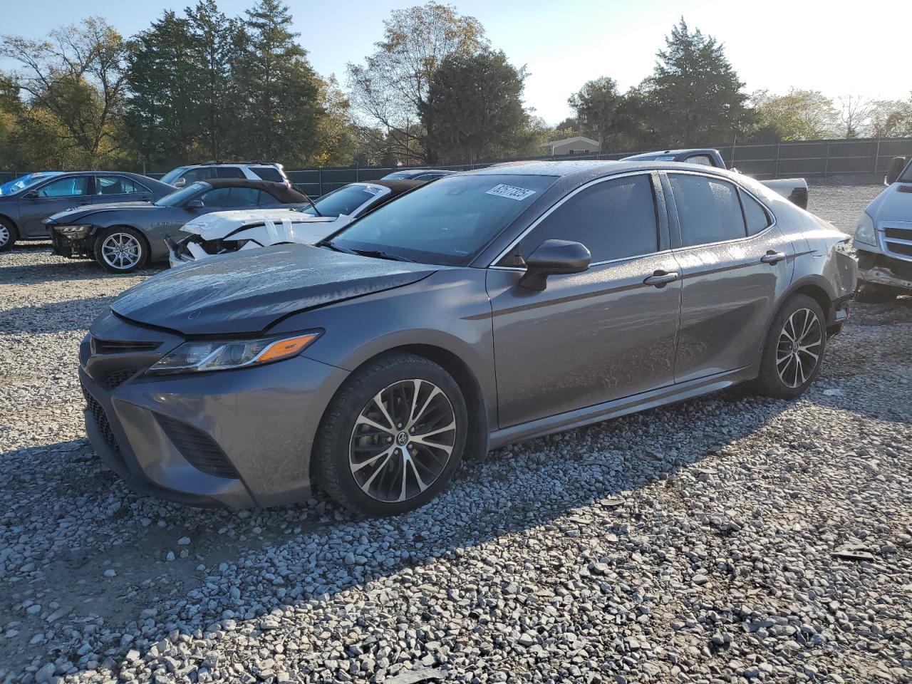 2019 Toyota Camry L