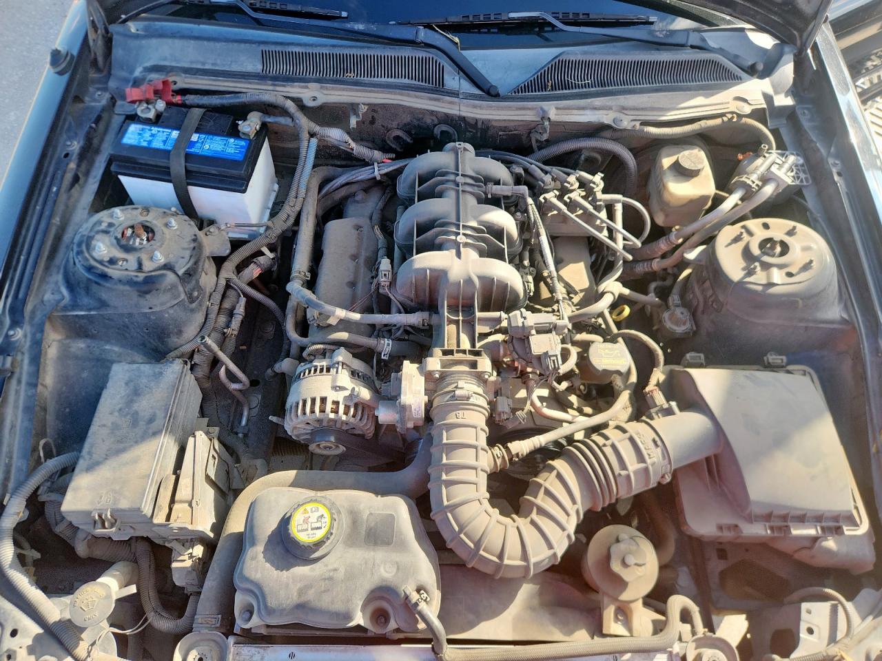 2008 Ford Mustang VIN: 1ZVHT80N485187985 Lot: 82718155