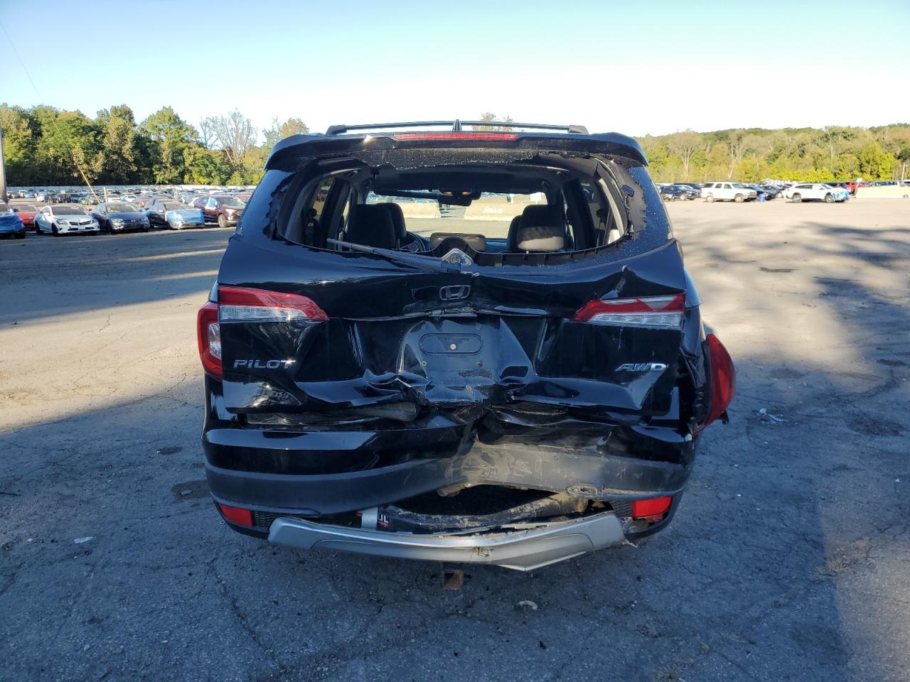 2020 Honda Pilot Exl VIN: 5FNYF6H59LB013534 Lot: 81989425