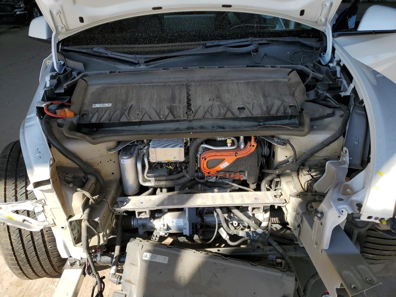 2021 Tesla Model Y VIN: 5YJYGAEE7MF244311 Lot: 82724335