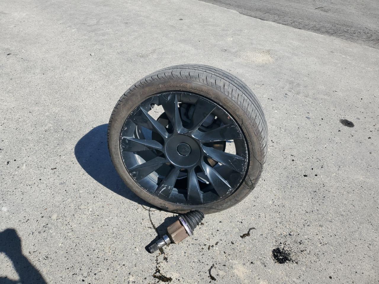 2022 Tesla Model Y VIN: 7SAYGDEE3NF494716 Lot: 86186155