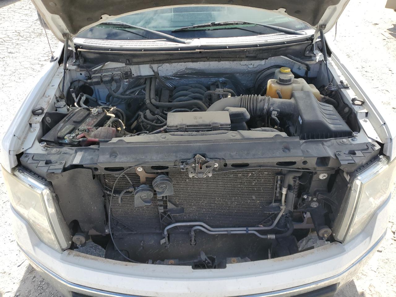 2014 Ford F150 VIN: 1FTNF1CF4EKD63830 Lot: 89513995