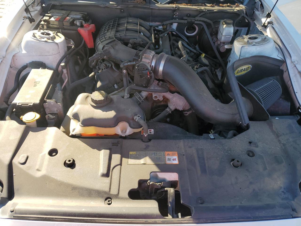 2013 Ford Mustang VIN: 1ZVBP8AM4D5281567 Lot: 86823705