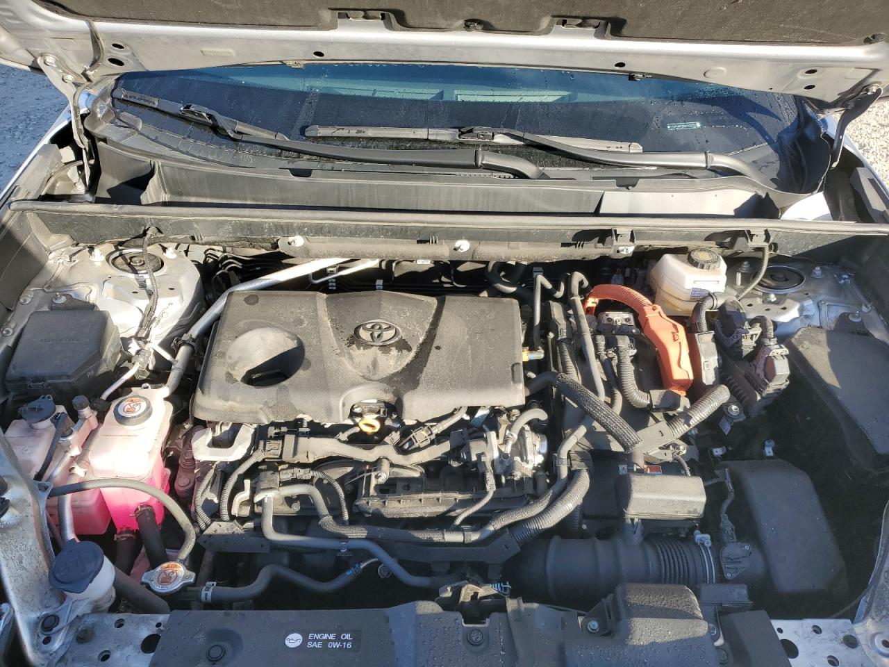 2024 Toyota Rav4 Xle VIN: 4T3RWRFV8RU122773 Lot: 84451895