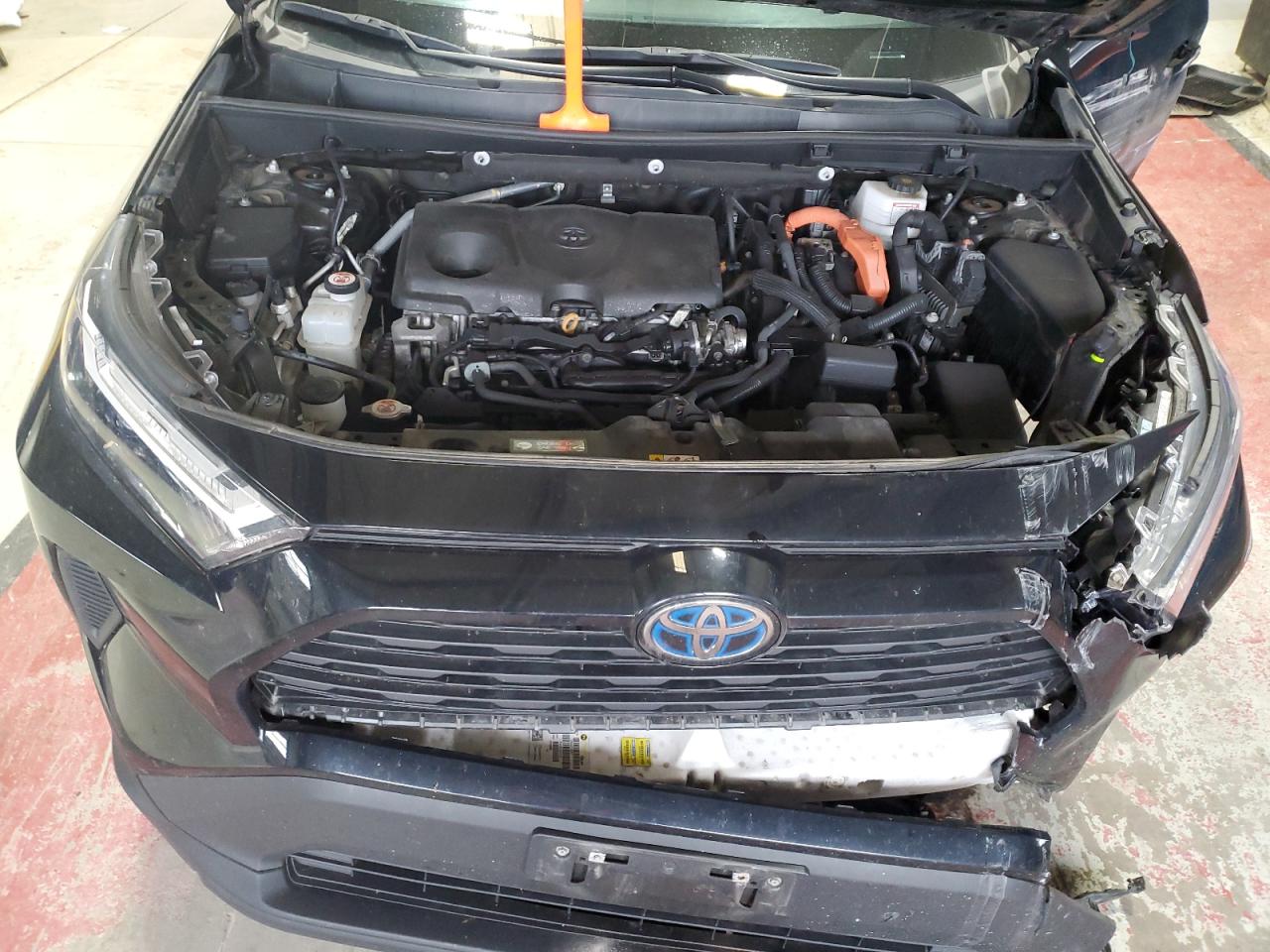 2024 Toyota Rav4 Xle VIN: 2T3RWRFV7RW193124 Lot: 86272405