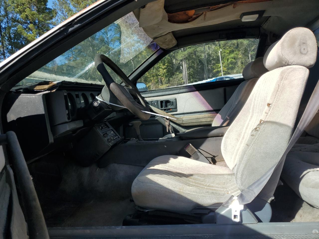 1989 Pontiac Firebird Formula VIN: 1G2FS2188KL244389 Lot: 82538105