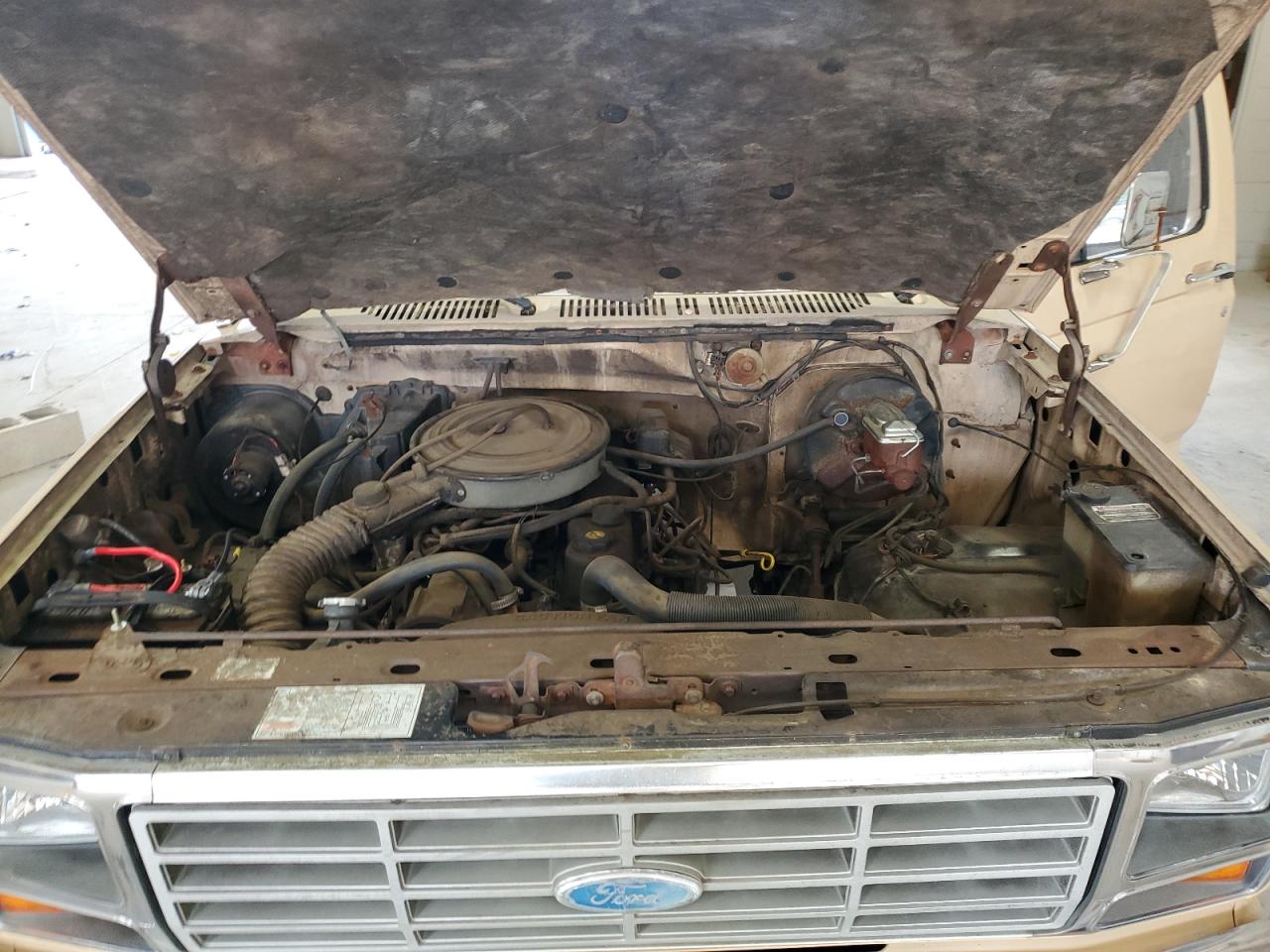 1985 Ford F150 VIN: 1FTDF15Y7FNA75147 Lot: 85775085