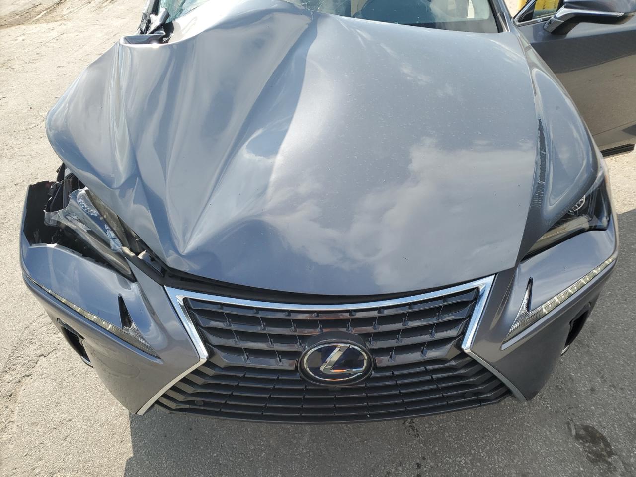 2020 Lexus Nx 300H VIN: JTJDJRDZ5L2141289 Lot: 84291555