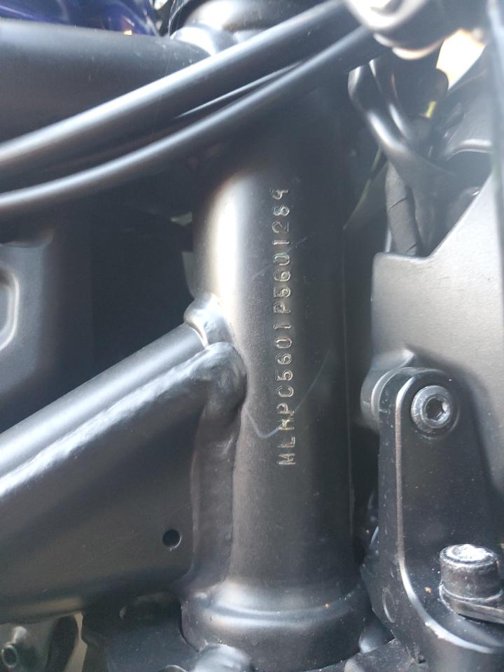 2023 Honda Cmx500 VIN: MLHPC5601P5601289 Lot: 82227585