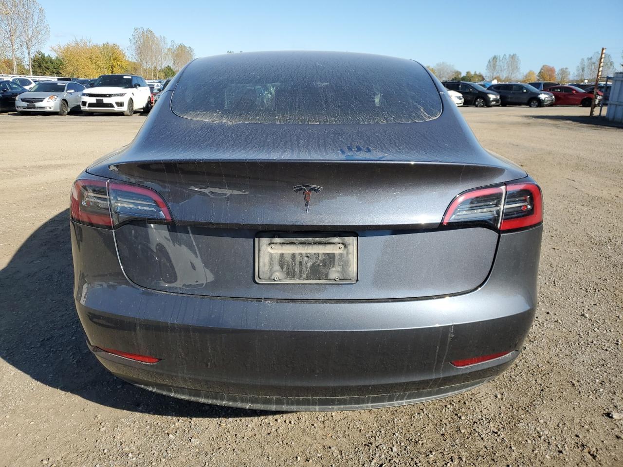 2023 Tesla Model 3 VIN: LRW3E1FA7PC899692 Lot: 89499515