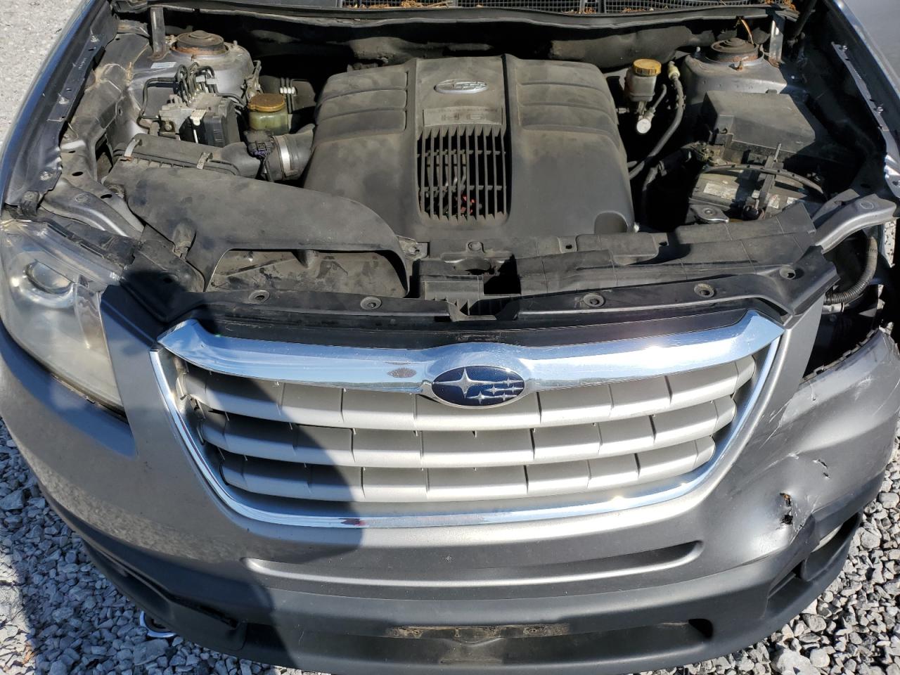 2008 Subaru Tribeca Limited VIN: 4S4WX92D884405646 Lot: 84938785