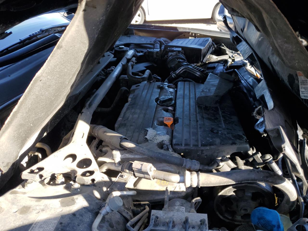 2009 Honda Accord Exl VIN: JHMCP26829C003364 Lot: 84898085