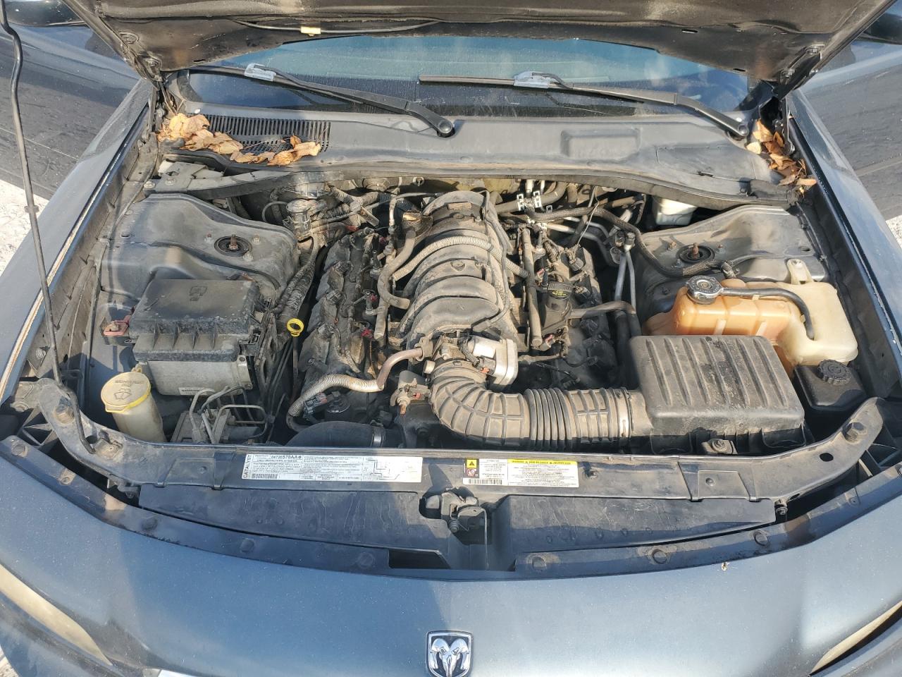 2007 Dodge Charger R/T VIN: 2B3KA53H87H686431 Lot: 84889515