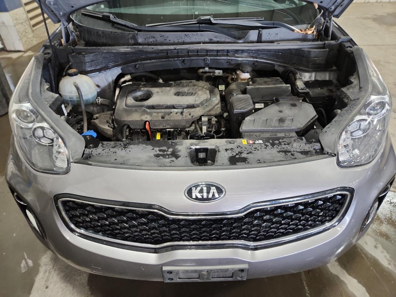 2019 Kia Sportage Lx VIN: KNDPMCAC1K7509182 Lot: 85179195