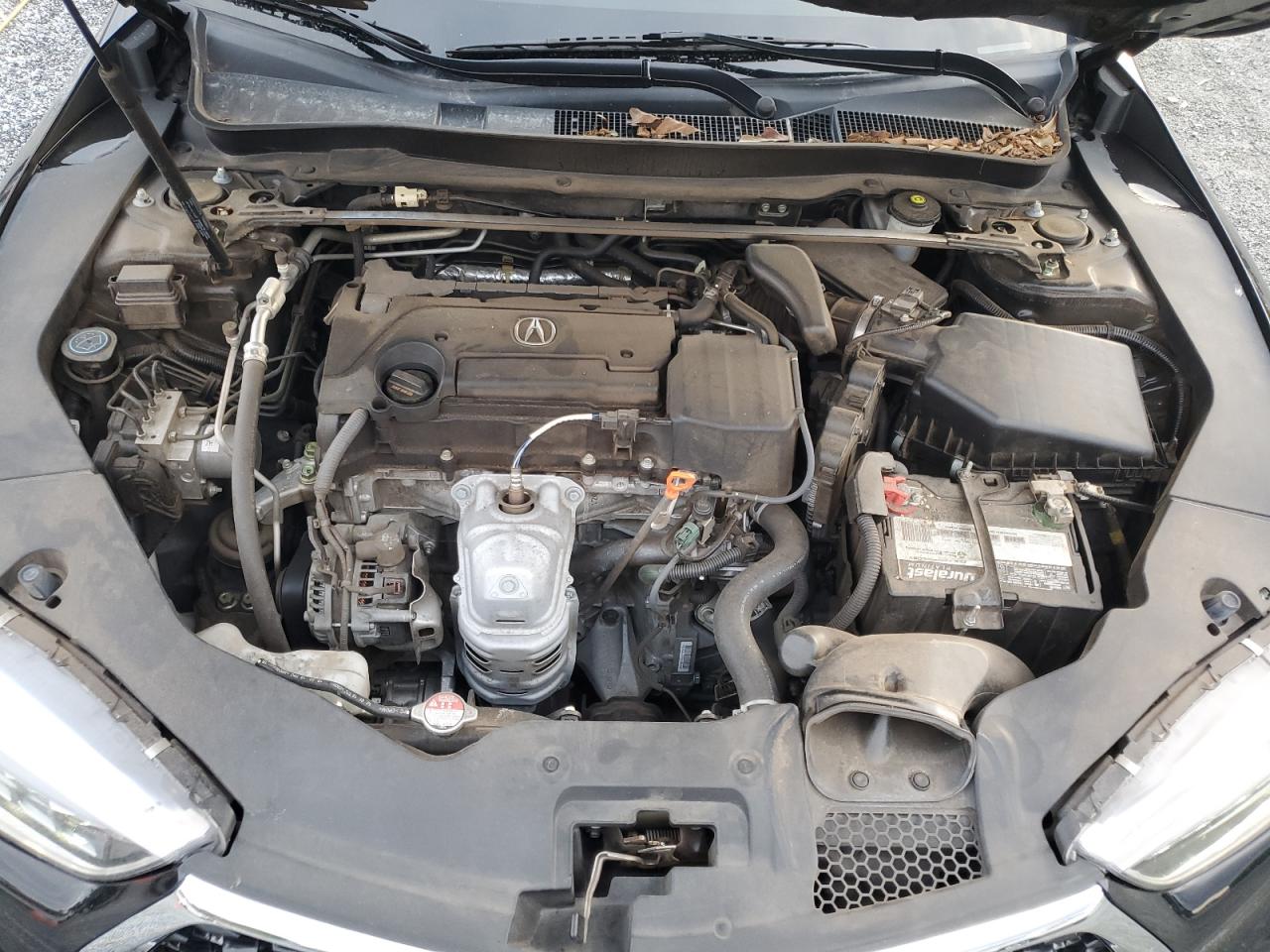 2020 Acura Tlx VIN: 19UUB1F32LA009088 Lot: 86055145