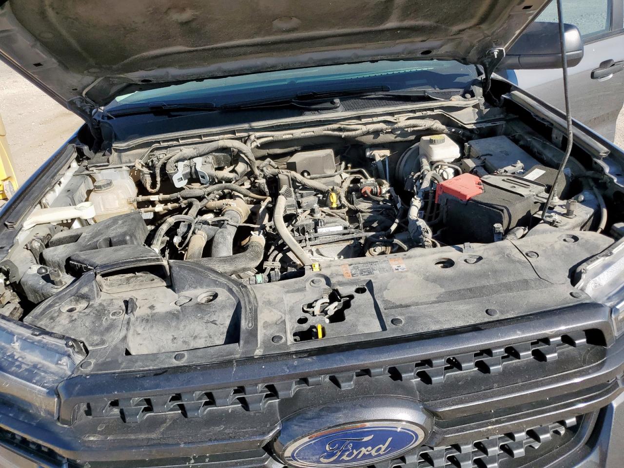 2024 Ford Ranger Xlt VIN: 1FTER4HH6RLE04834 Lot: 82420555