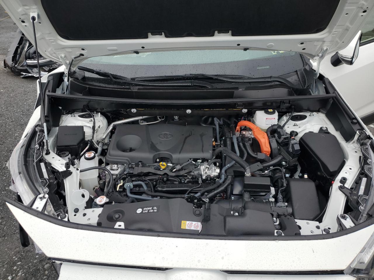 2025 Toyota Rav4 Xle VIN: JTMRWRFV7SD333076 Lot: 86323855