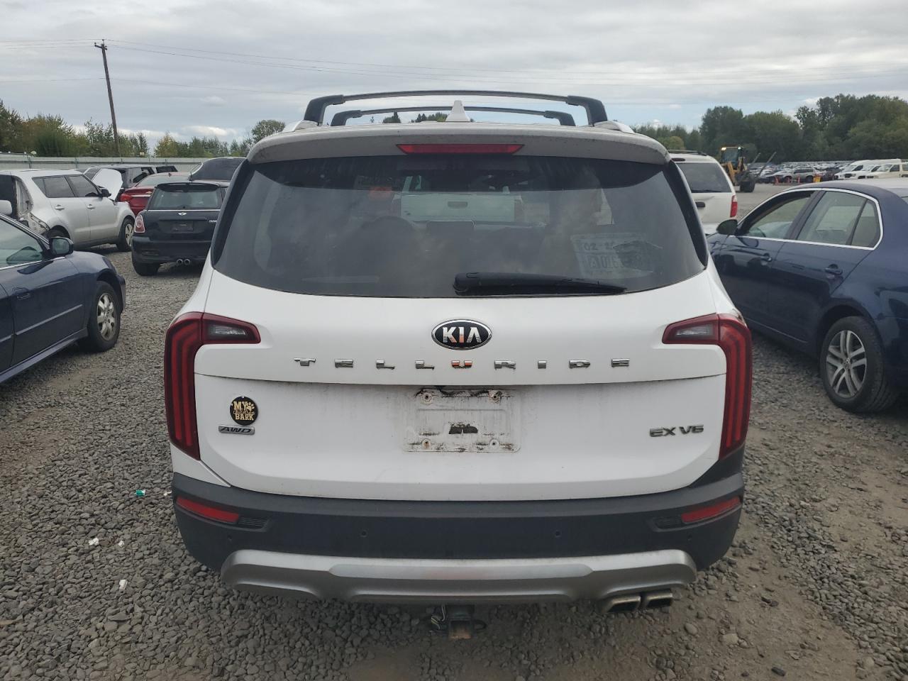 2021 Kia Telluride Ex VIN: 5XYP3DHC9MG189128 Lot: 85668335