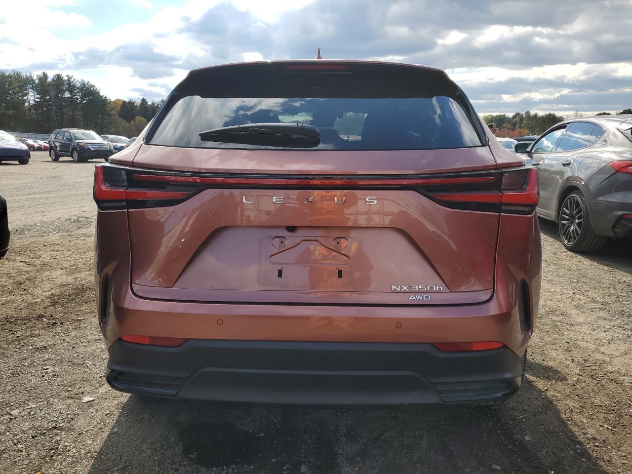 2025 Lexus Nx 350H Base VIN: JTJGKCEZ3S2061624 Lot: 89655745