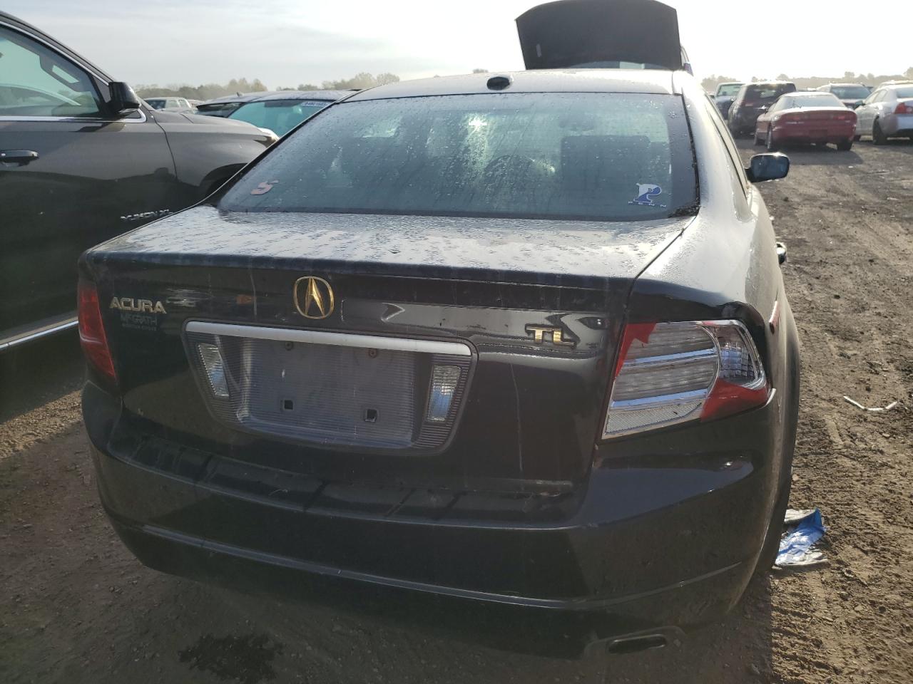 2006 Acura 3.2Tl VIN: 19UUA66276A073235 Lot: 84296095