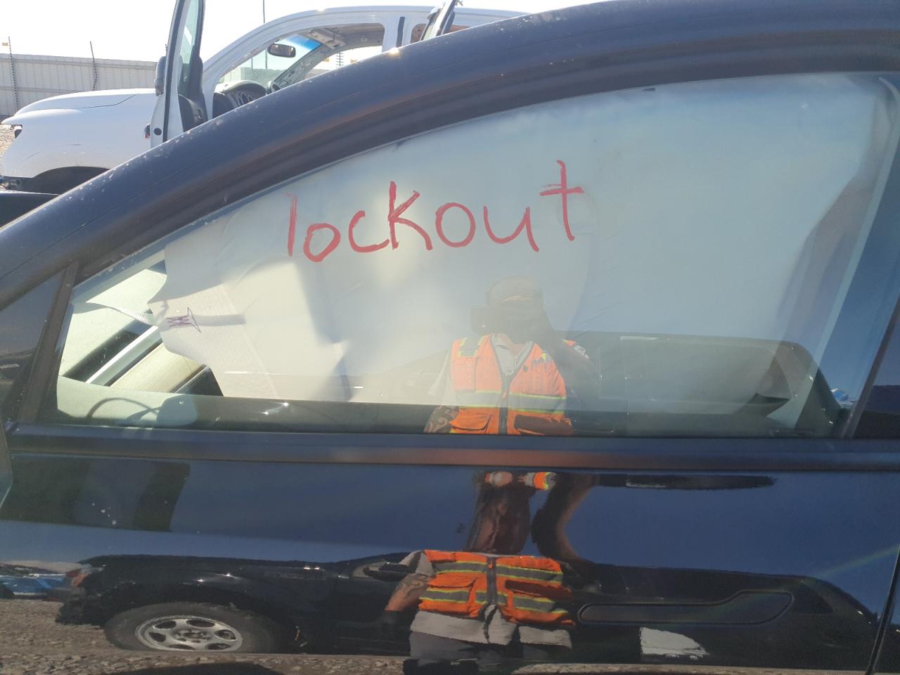 2024 Tesla Model Y VIN: 7SAYGDEF6RF048557 Lot: 81765075