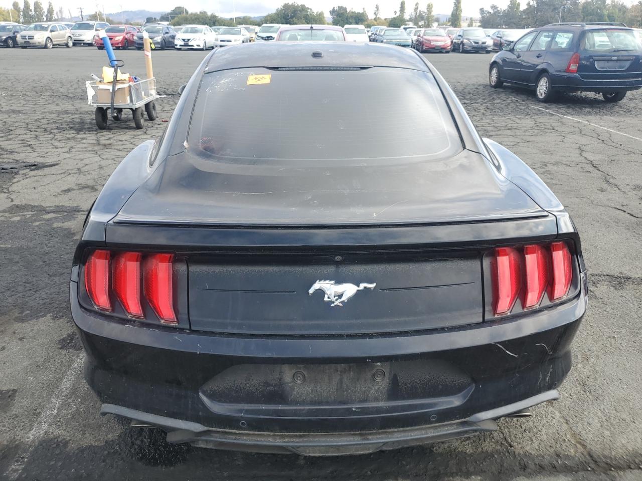 2019 Ford Mustang VIN: 1FA6P8TH5K5176821 Lot: 85096365