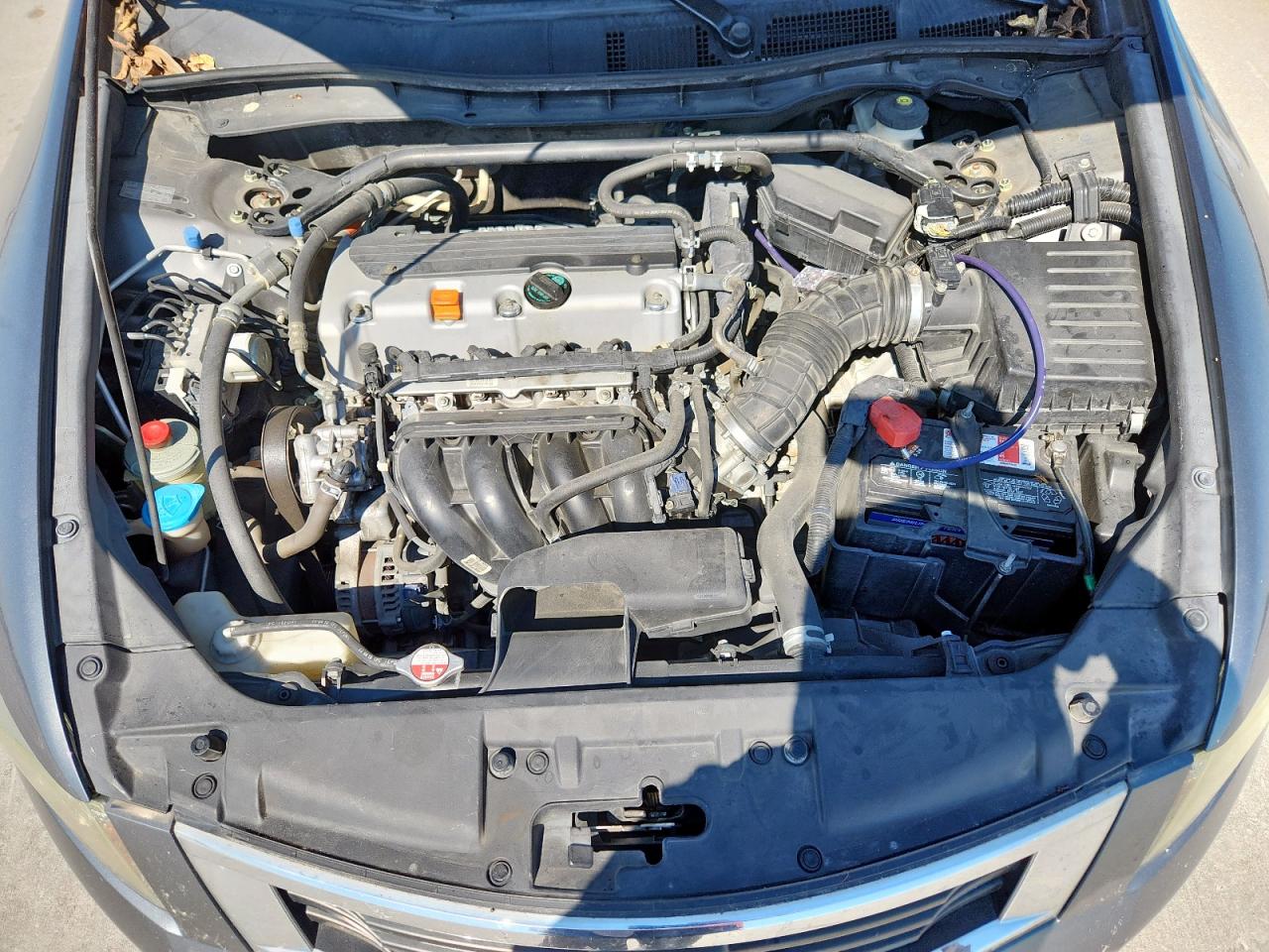 2010 Honda Accord Exl VIN: 1HGCP2F80AA178683 Lot: 82394255