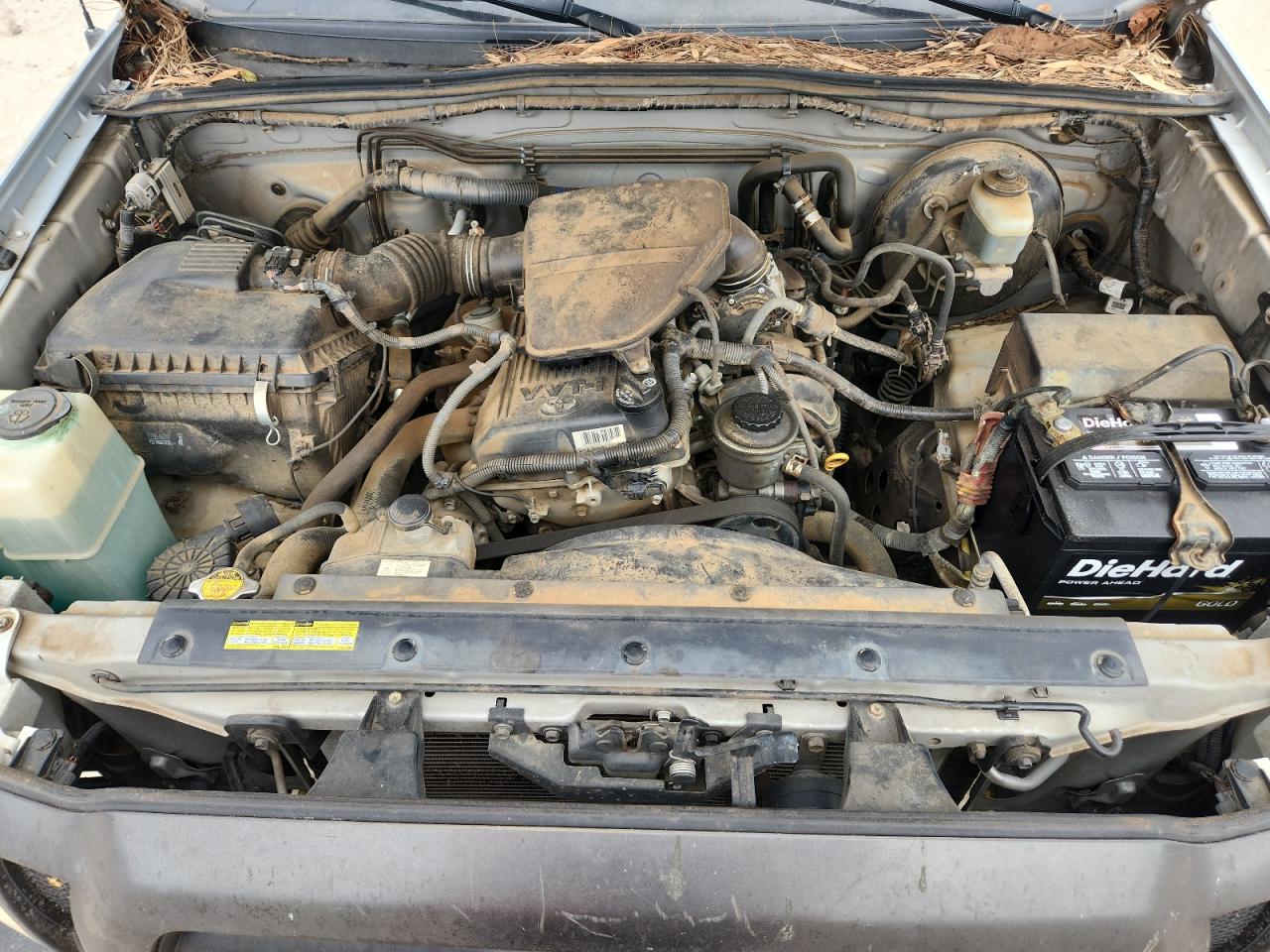 2006 Toyota Tacoma VIN: 5TENX22N56Z259842 Lot: 85269855