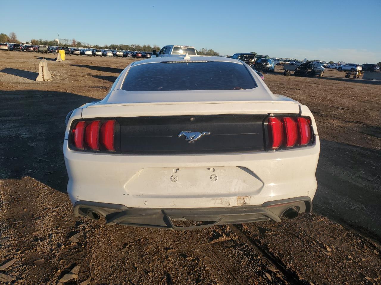 2021 Ford Mustang VIN: 1FA6P8TH6M5107686 Lot: 84958745