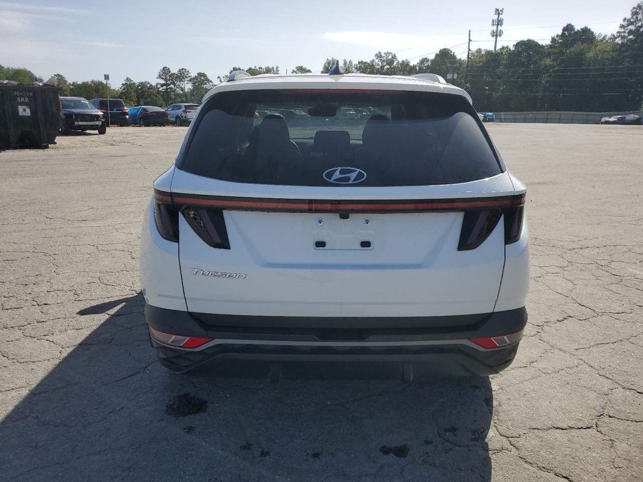 2024 Hyundai Tucson Sel VIN: 5NMJF3DE6RH376970 Lot: 84731775