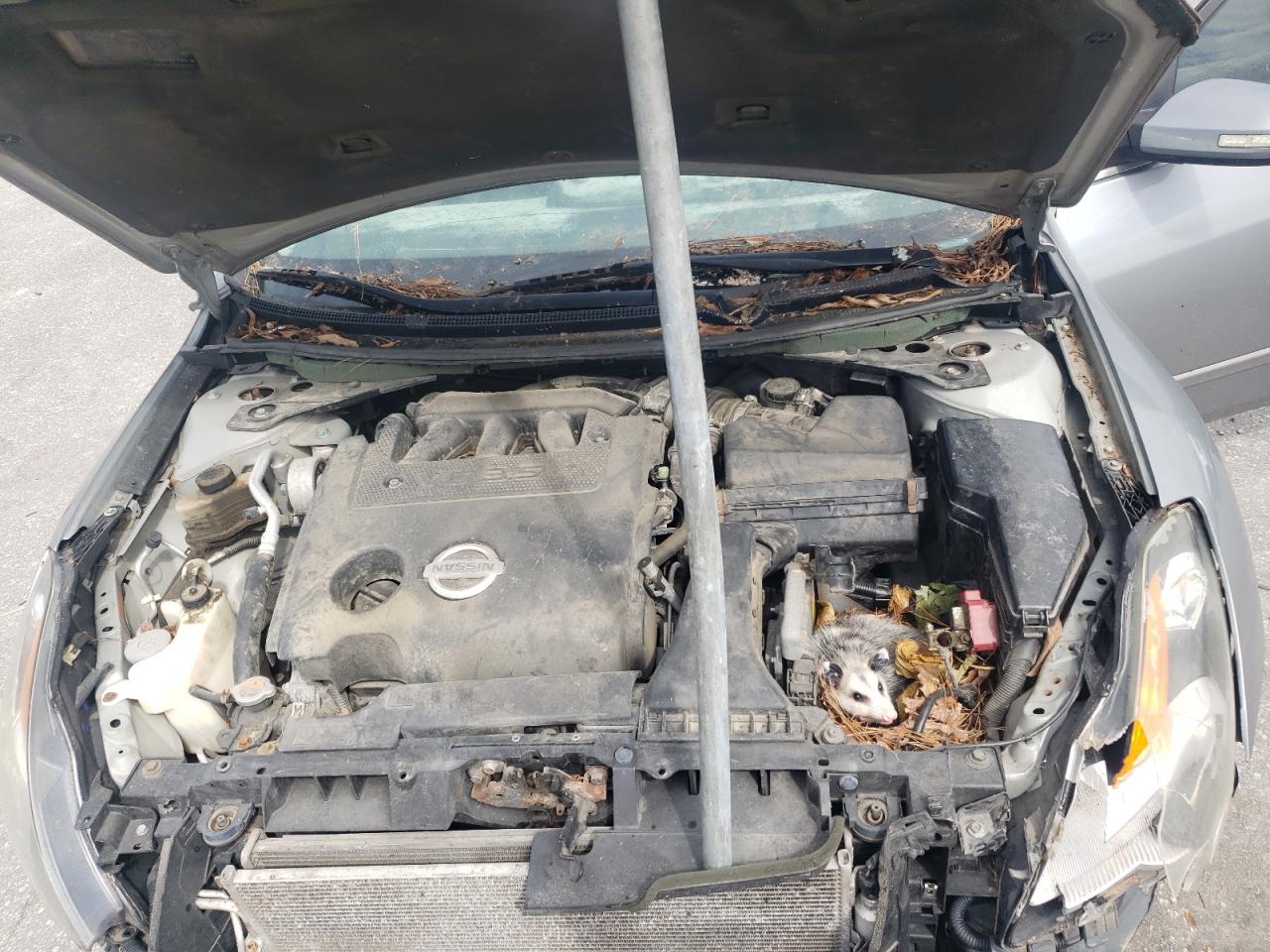 2007 Nissan Altima 3.5Se VIN: 1N4BL21E17C209204 Lot: 81984705