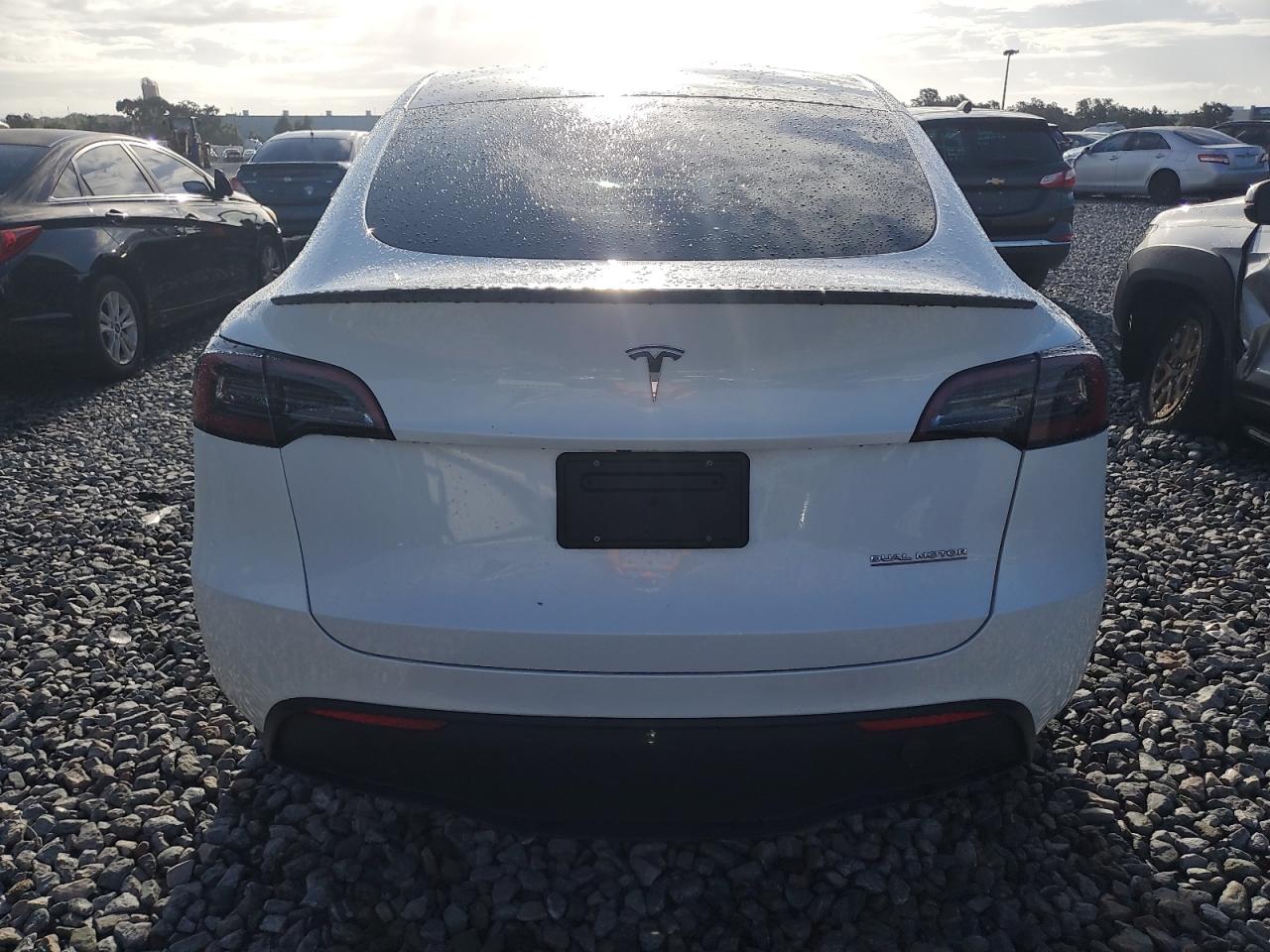 2023 Tesla Model Y VIN: 7SAYGDEF3PF700936 Lot: 85169505