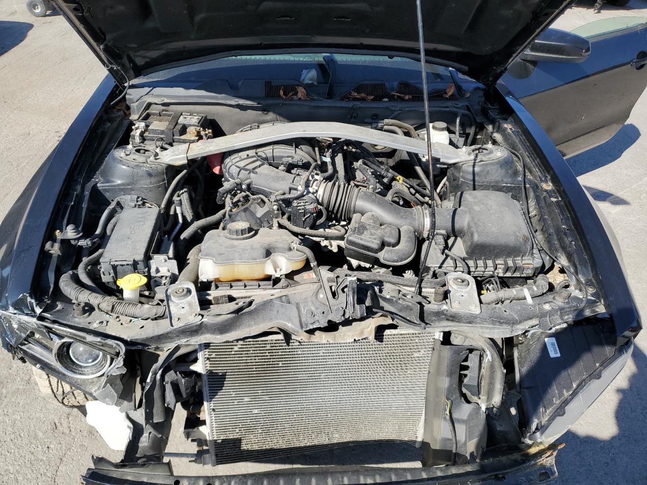 2013 Ford Mustang VIN: 1ZVBP8EM0D5278451 Lot: 85520955