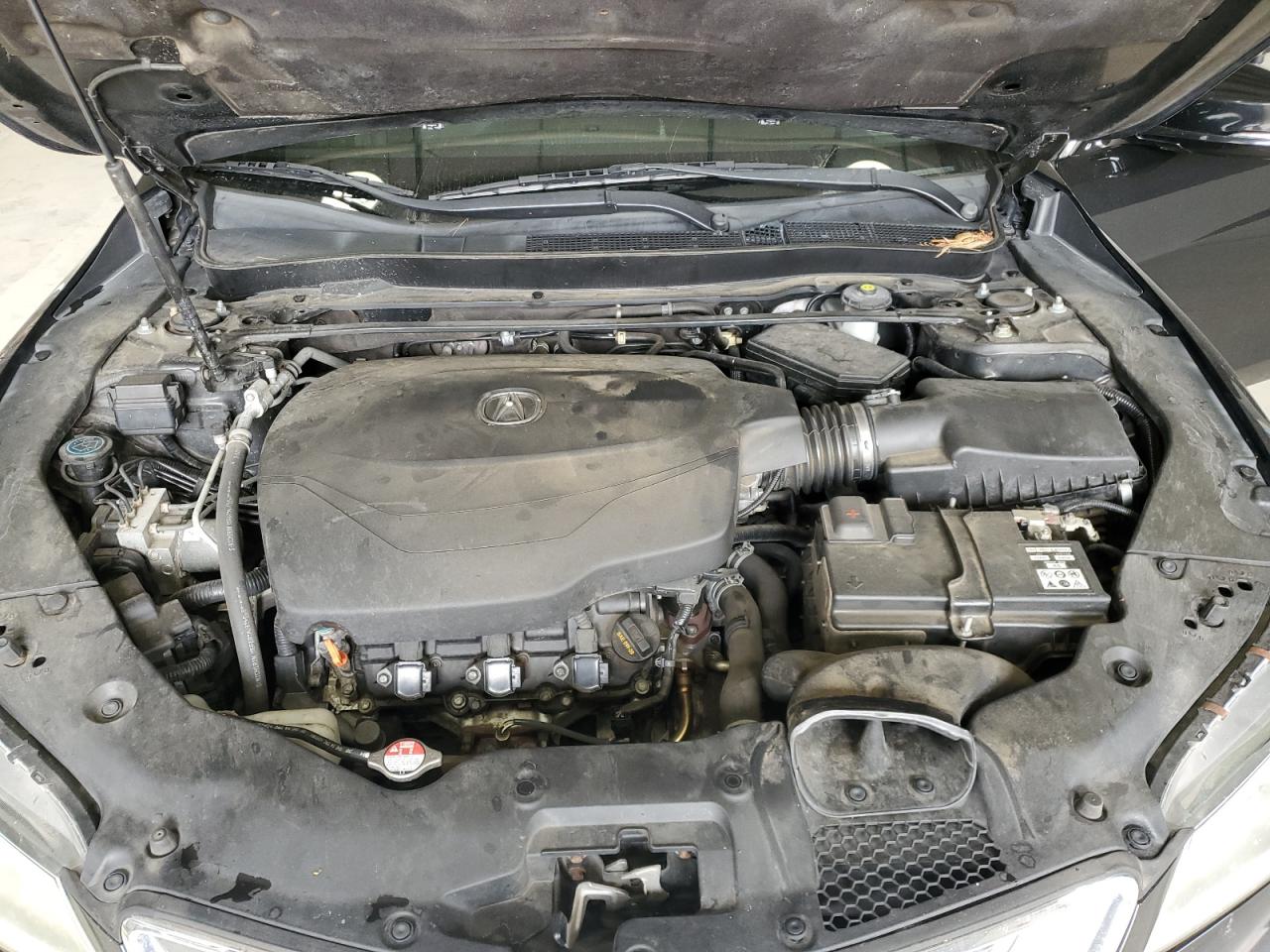 2015 Acura Tlx VIN: 19UUB2F35FA002145 Lot: 82207695