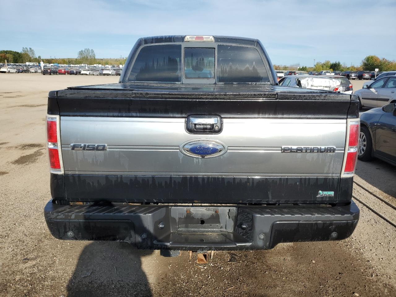 2010 Ford F150 Supercrew VIN: 1FTFW1EVXAFA41267 Lot: 81589105