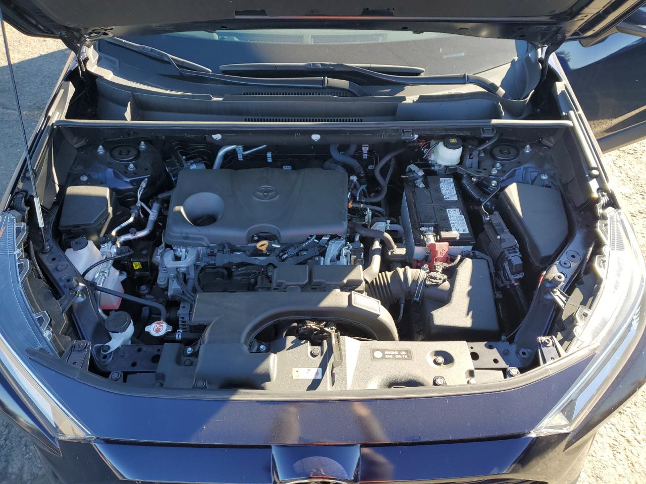 2021 Toyota Rav4 Xle VIN: 2T3P1RFV6MW238505 Lot: 86249545