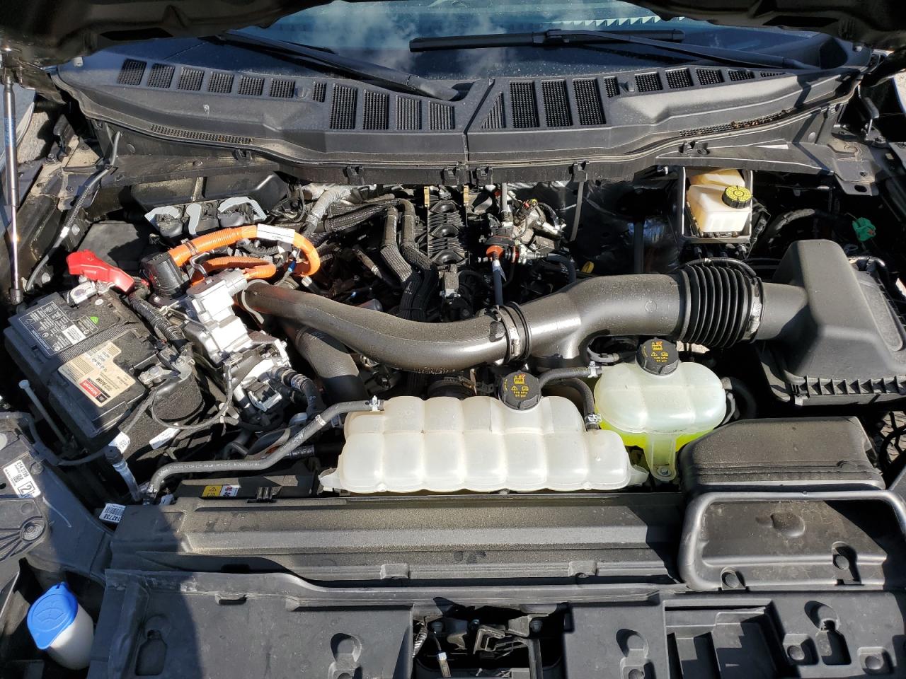 2024 Ford F150 Xlt VIN: 1FTFW3LD4RFB42001 Lot: 89628175