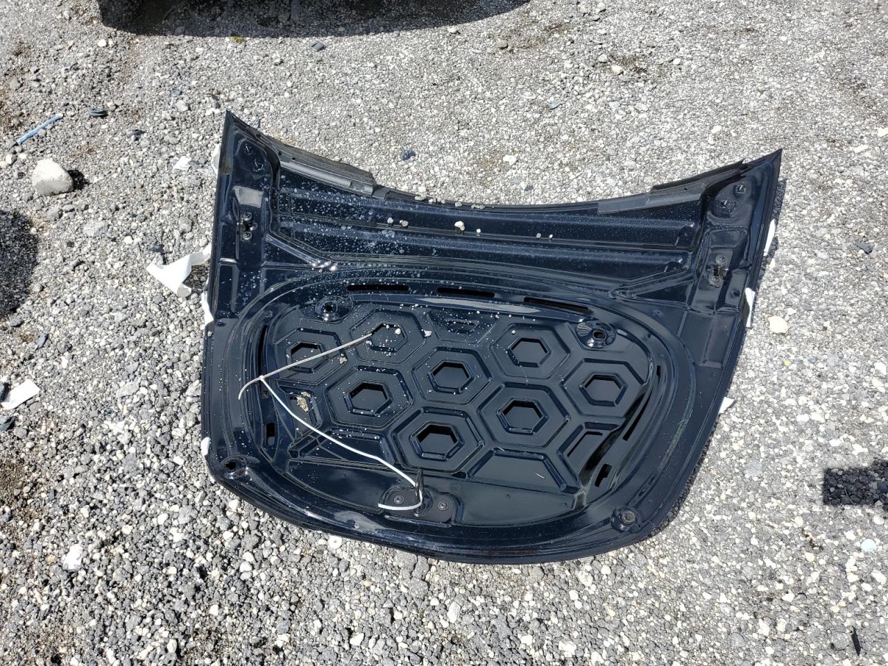 2023 Tesla Model 3 VIN: 5YJ3E1EA7PF557425 Lot: 84918725