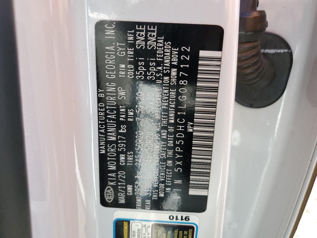 2020 Kia Telluride Sx VIN: 5XYP5DHC1LG087122 Lot: 87021885