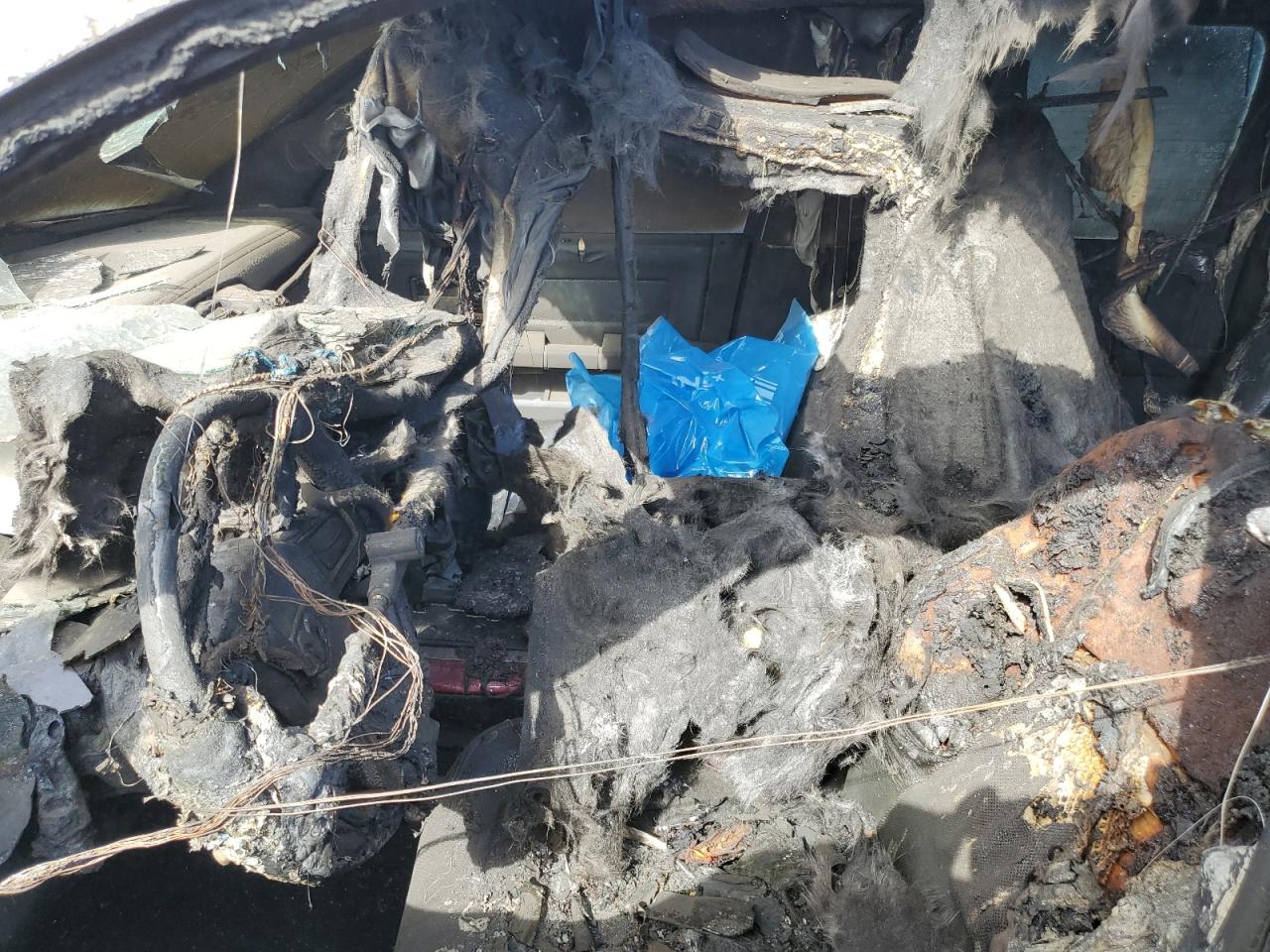 2009 Dodge Ram 1500 VIN: 1D3HV13T99J515903 Lot: 86178835