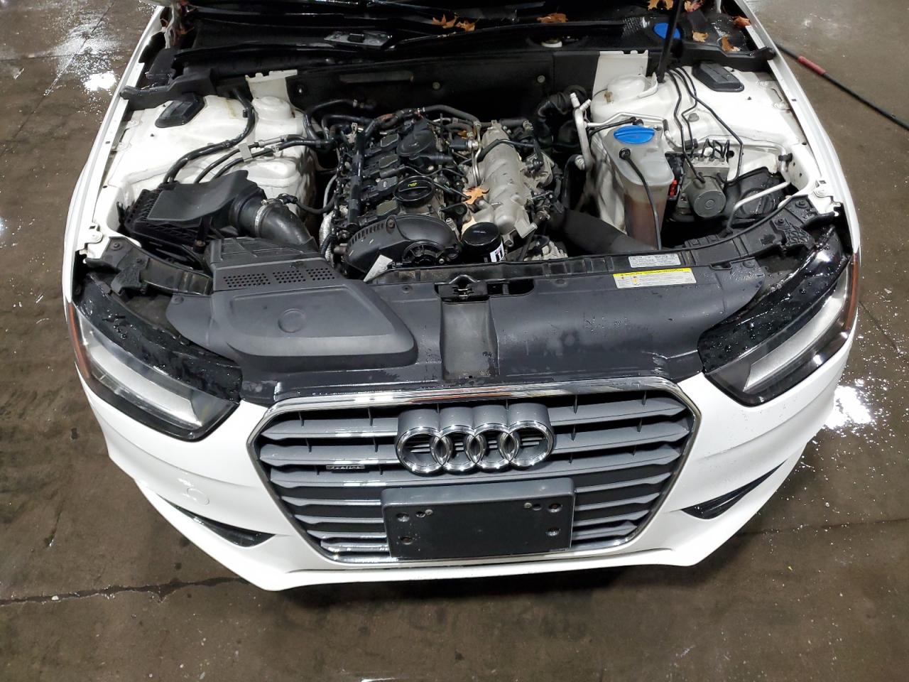 2014 Audi A4 Premium VIN: WAUBFAFL3EN016537 Lot: 90692705