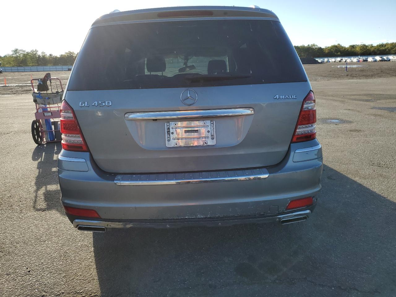 2010 Mercedes-Benz Gl 450 4Matic VIN: 4JGBF7BE3AA559901 Lot: 85918455