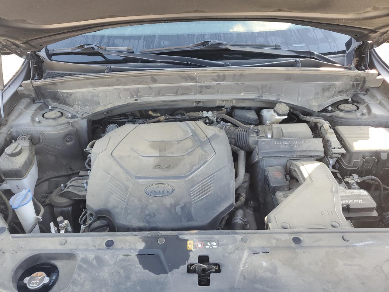 2021 Kia Telluride Ex VIN: 5XYP34HC7MG150036 Lot: 85929935