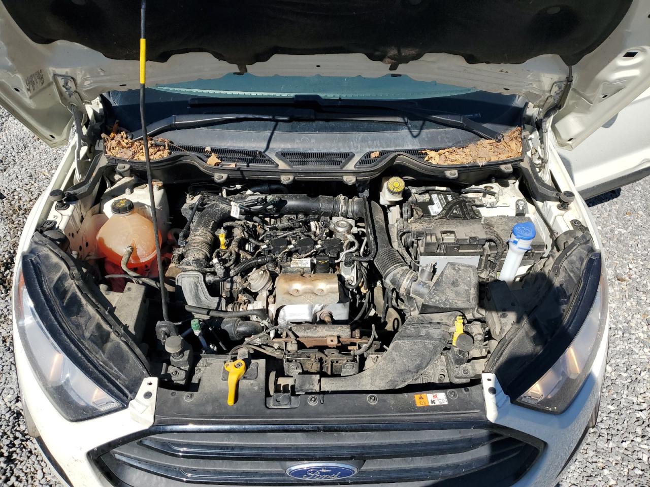 2021 Ford Ecosport S VIN: MAJ3S2FE3MC440780 Lot: 82641535