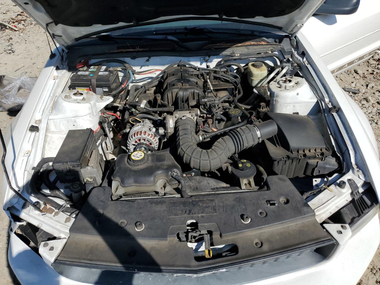 2006 Ford Mustang VIN: 1ZVFT80N465152867 Lot: 84778095