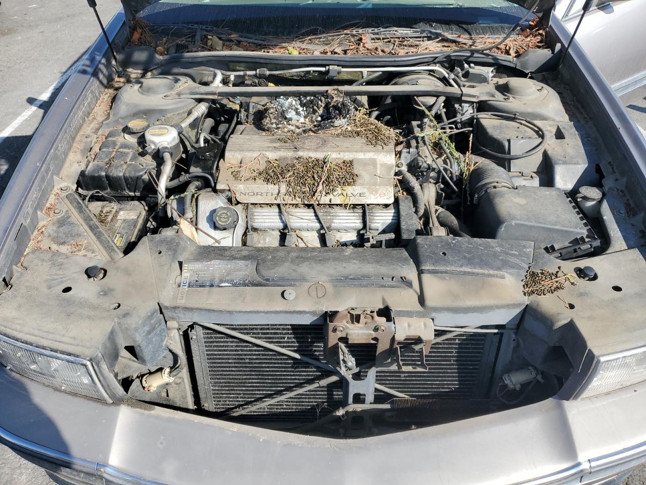 1996 Cadillac Deville VIN: 1G6KD52Y8TU200069 Lot: 85326585