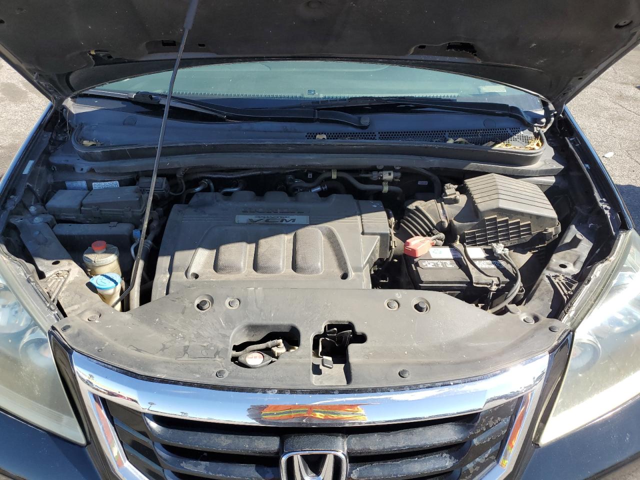 2010 Honda Odyssey Exl VIN: 5FNRL3H7XAB101387 Lot: 85728295