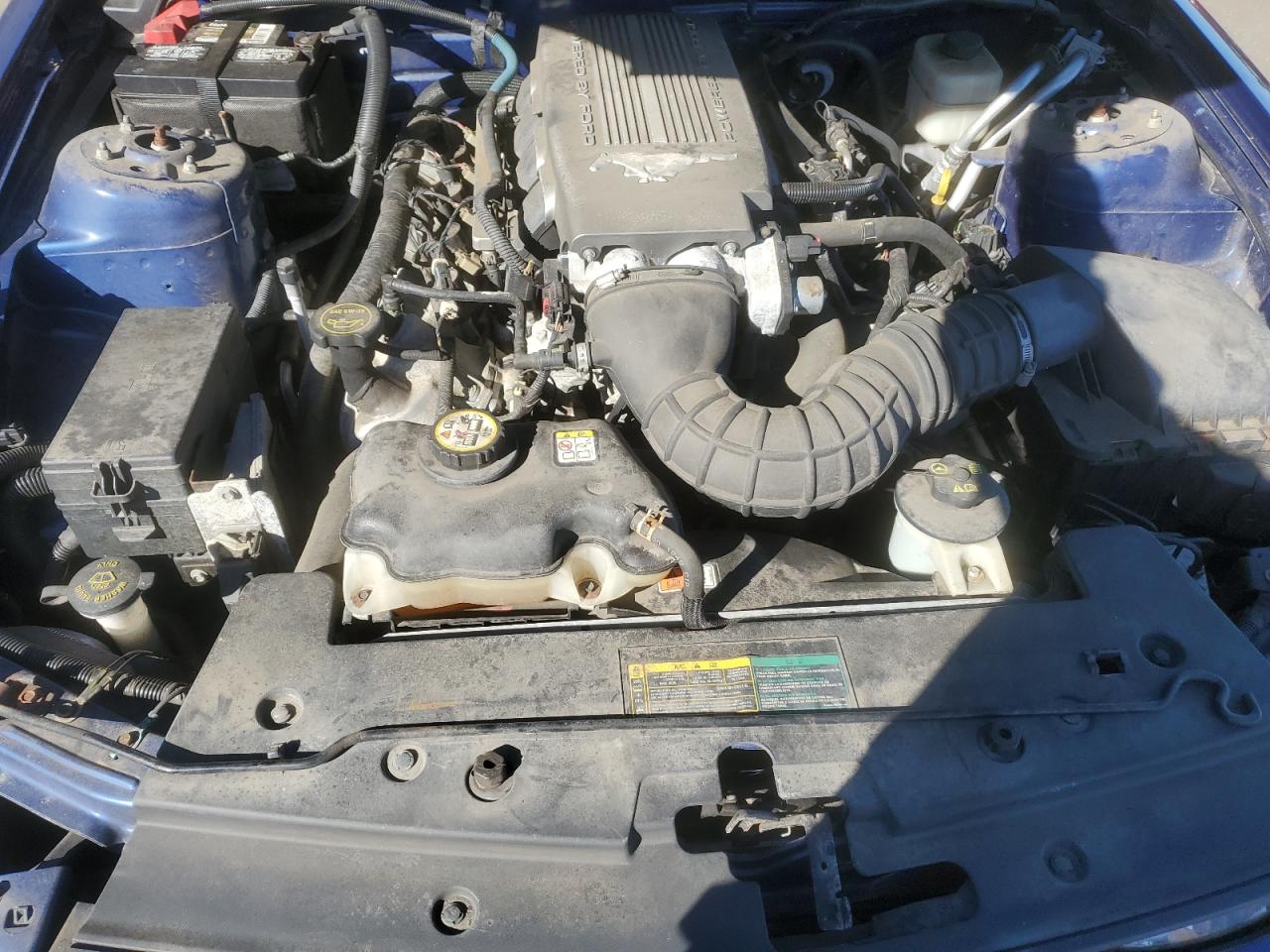 2007 Ford Mustang Gt VIN: 1ZVHT82H675250428 Lot: 86069425