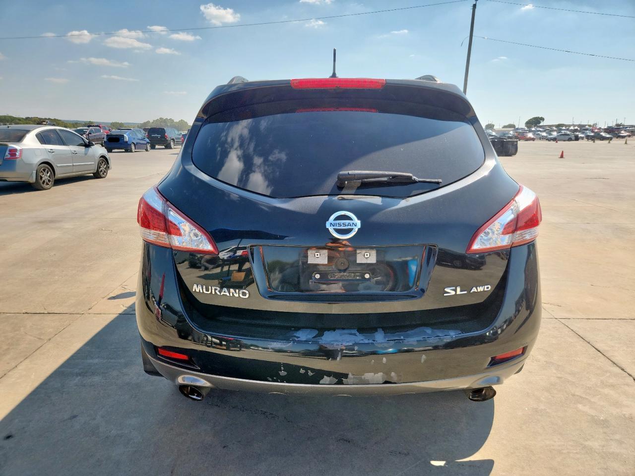 2013 Nissan Murano S VIN: JN8AZ1MW1DW303018 Lot: 85095815